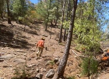 Se mantienen activos 4 incendios forestales en sierra de Sonora; brigadistas combaten las llamas