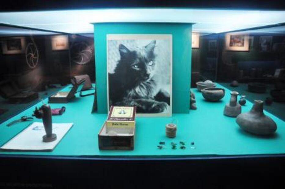 Develan la intimidad de Remedios Varo en el MAM