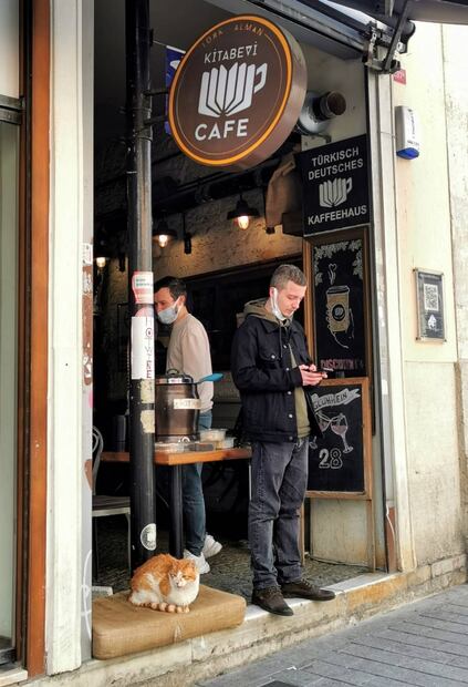 Lugares donde adoran a su Majestad el gato