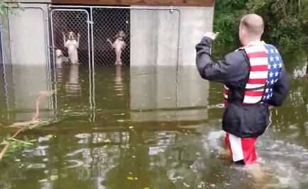 Captan en video rescate de perros enjaulados durante inundación por "Florence"