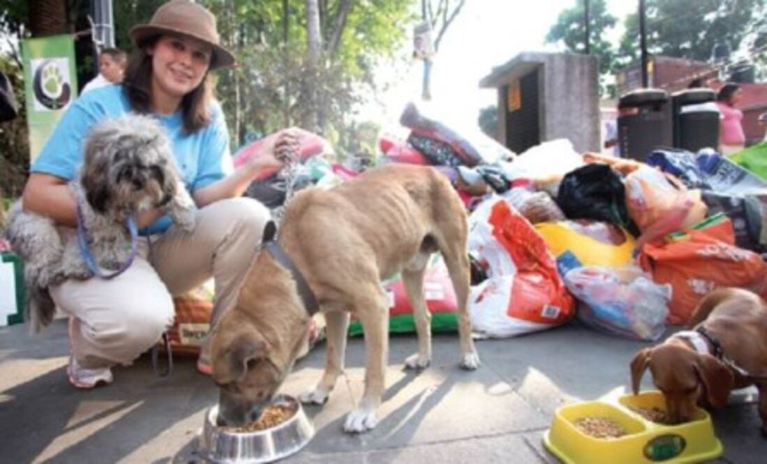 ¿Cuánto gastan los mexicanos en sus mascotas?