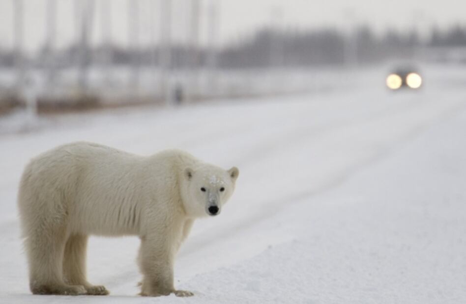 Invierno 2020: ¿Cuándo empieza y cuánto dura?