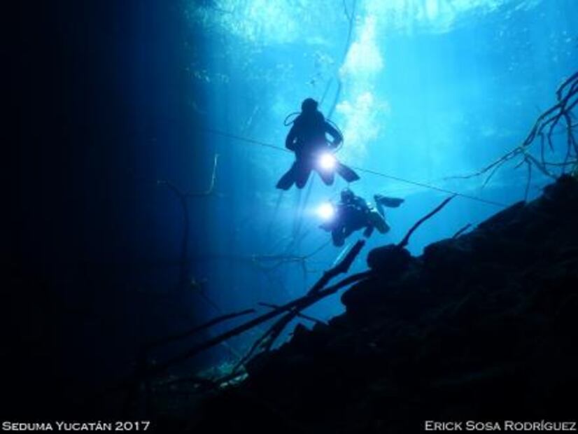 Encuentran fósil de 23 millones de años en cenote de Mérida