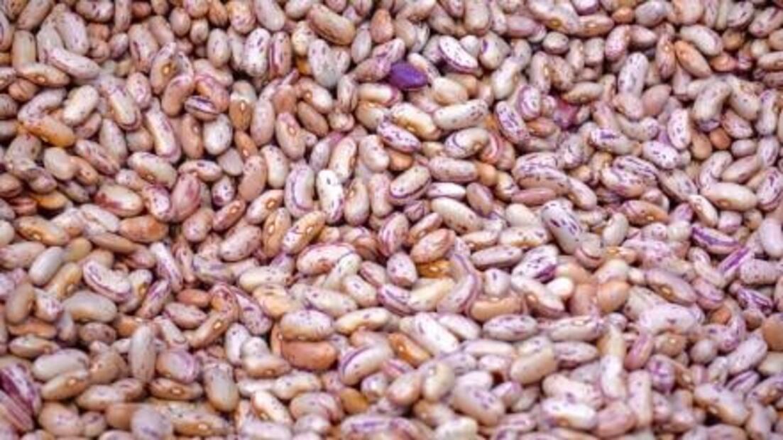 7 razones para comer frijoles