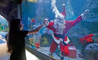 Santa acuático visita acuario del zoológico de Guadalajara