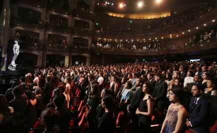 "Sueño en otro idioma" y "La región salvaje" triunfan en el Ariel 2018