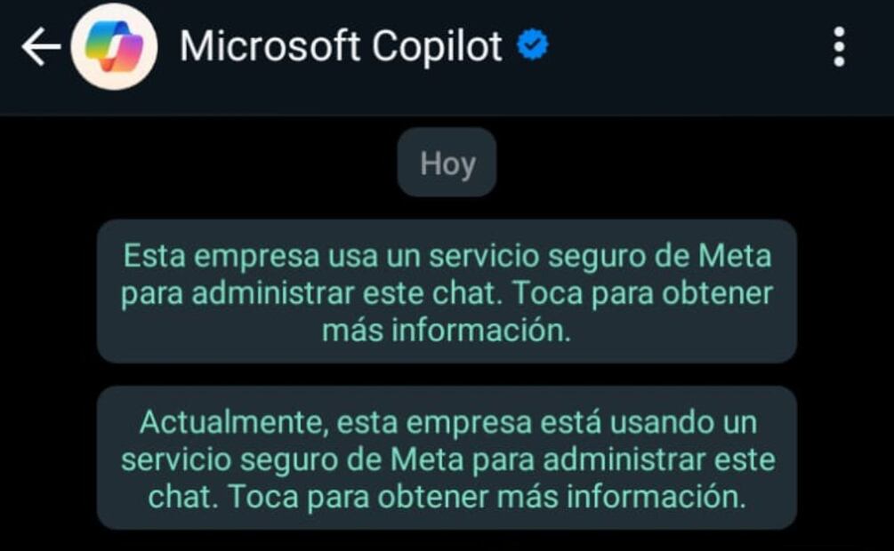 Imagen: captura de pantalla