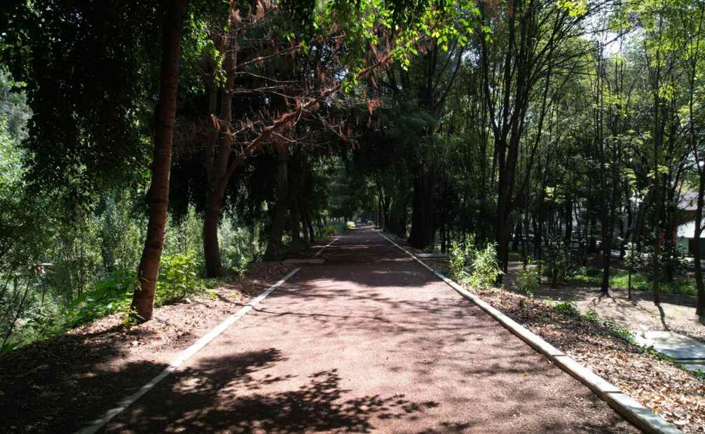 Sedema presenta el Programa de Manejo del Bosque Urbano Canal Nacional; impulsa su conservación y recuperación. Foto: Laura Arana / EL UNIVERSAL