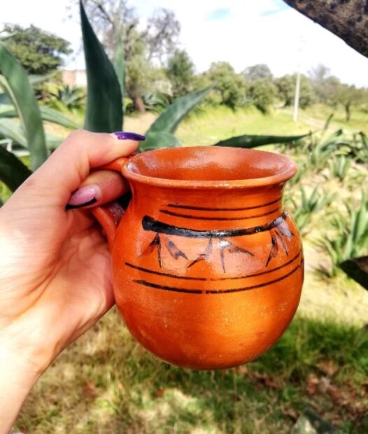 Pulque, bosques y otras maravillas en Nanacamilpa, Tlaxcala