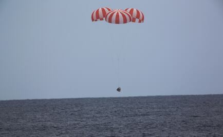 "Ratones espaciales" regresan a la Tierra