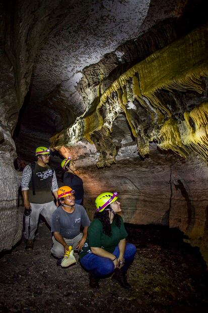 Calakmul: por qué la Unesco considera espectacular esta selva de México