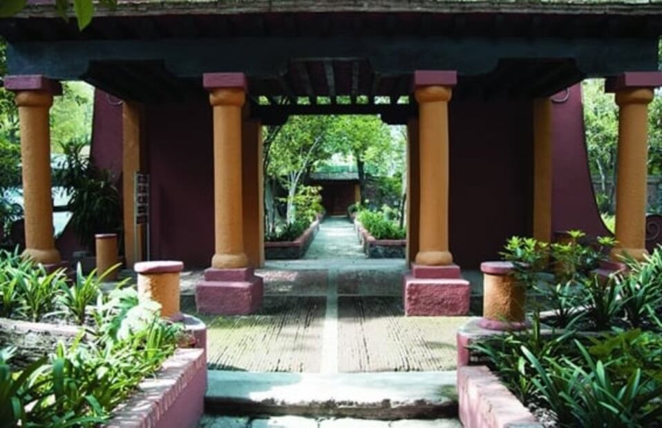 Jardines que debes visitar en la CDMX