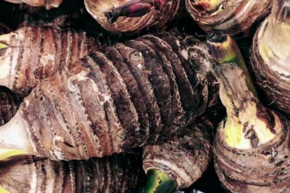 Las propiedades nutritivas del matcha y el taro 