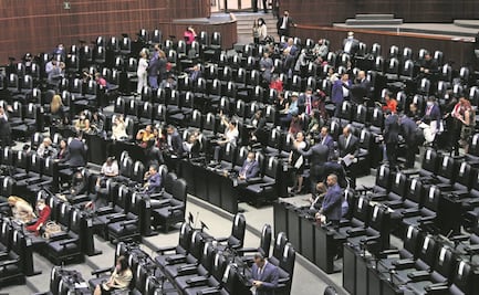 Diputados aprueban laLey Ingrid