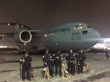 Perros de búsqueda de California llegan a México para ayudar en rescates