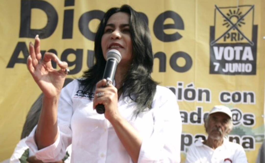 “Será un tema que vamos a tocar en la jefatura delegacional, en la Asamblea Legislativa y en la Cámara de Diputados", dijo la candidata a la jefatura delegacional de Iztapalapa, Dione Anguiano  Foto: Especial