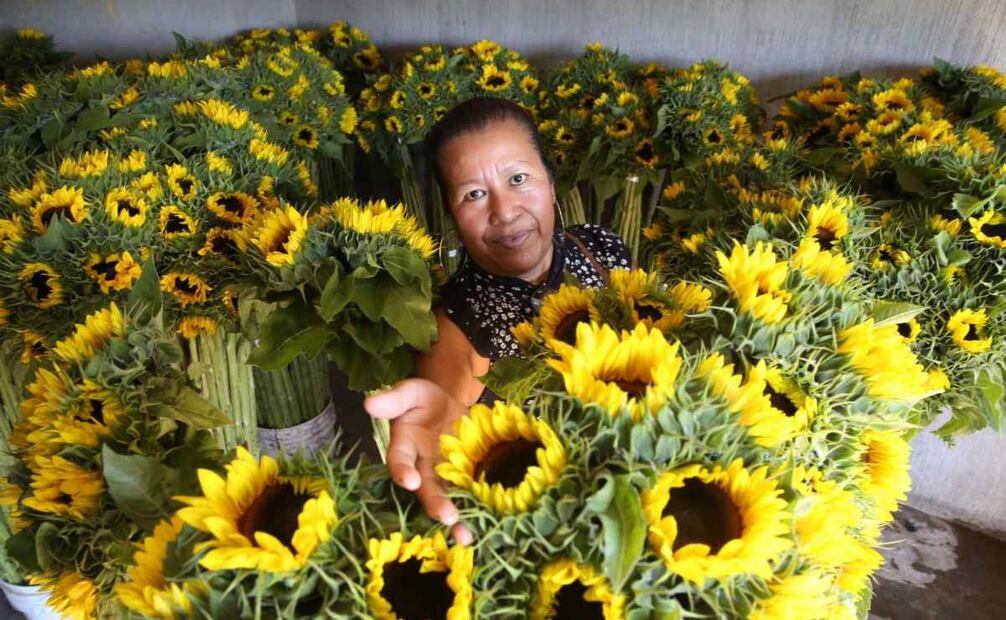 El fondo otorga 25 mil pesos por el fallecimiento la persona titular. Foto: Especial