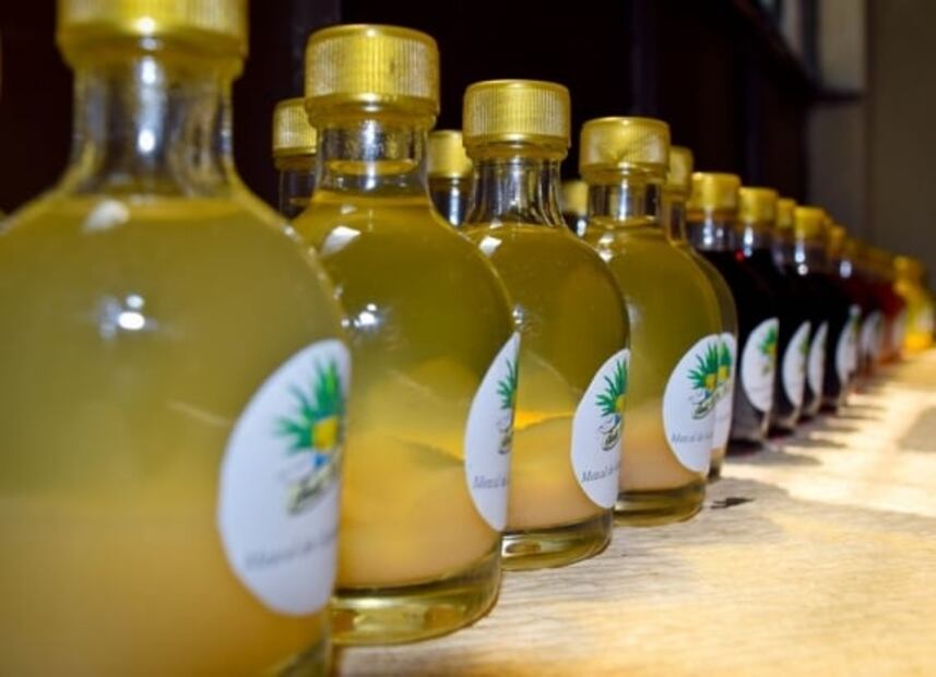Descubre el comiteco, un destilado de agave originario de Chiapas