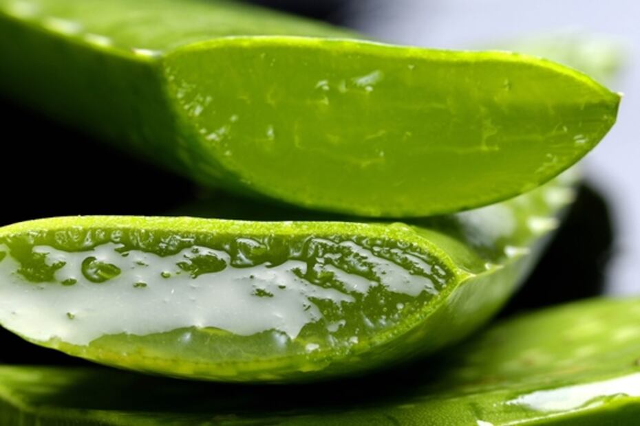 7 usos del gel de aloe vera para la piel y el pelo