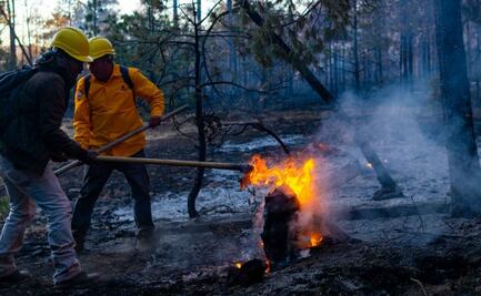 Suman 13 incendios forestales en varios municipios de Chihuahua; despliegan a más de 250 brigadistas