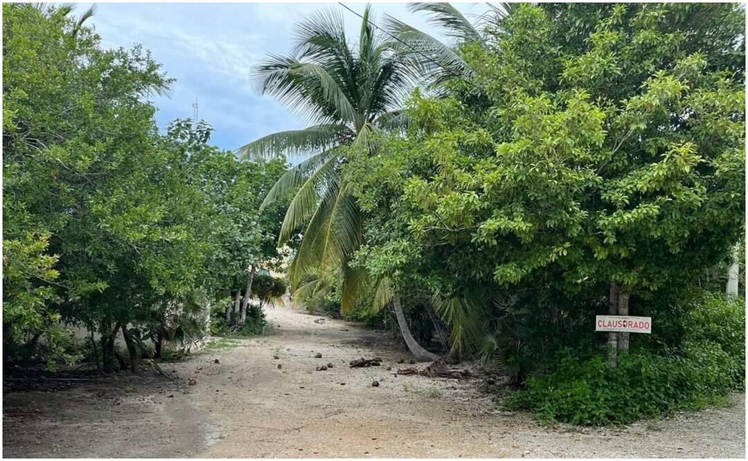 Vecinos alertaron que desde la semana pasada que este grupo ha talado más de una hectárea de manglar, que va del muelle hasta la duna costera. Foto: Especial/El Universal