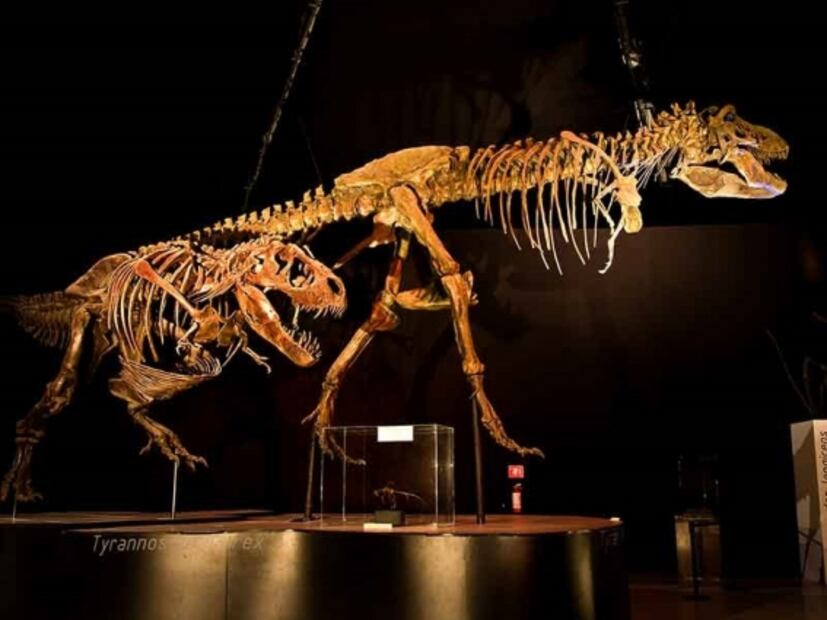 No te pierdas la expo de dinosaurios en el Parque Bicentenario