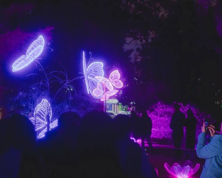 Foto: Facebook "Secret Garden Experience México"