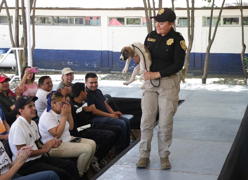 Hasta el momento, la SSC reporta la adopción de 11 perritos y tres gatitos. (Foto: Carlos Mejía/ EL UNIVERSAL)