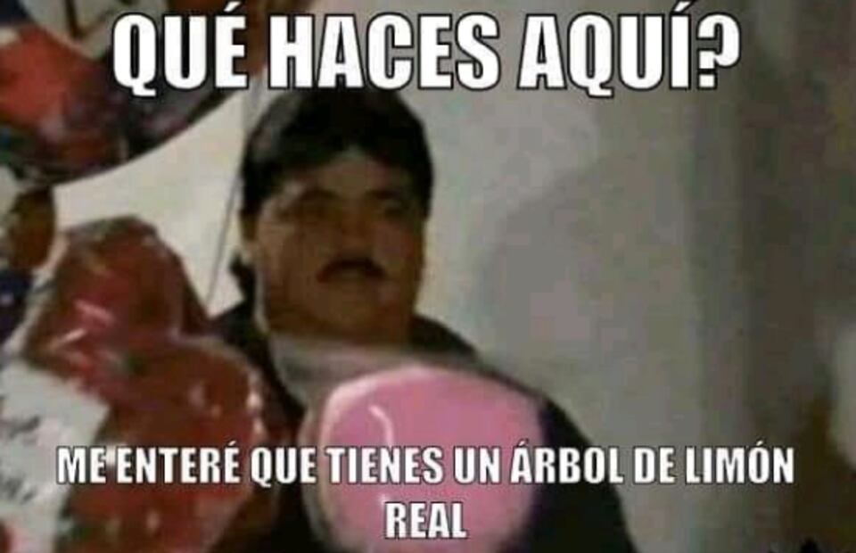 El segundo round de AMLO vs Covid y el precio del limón, en los memes de la semana