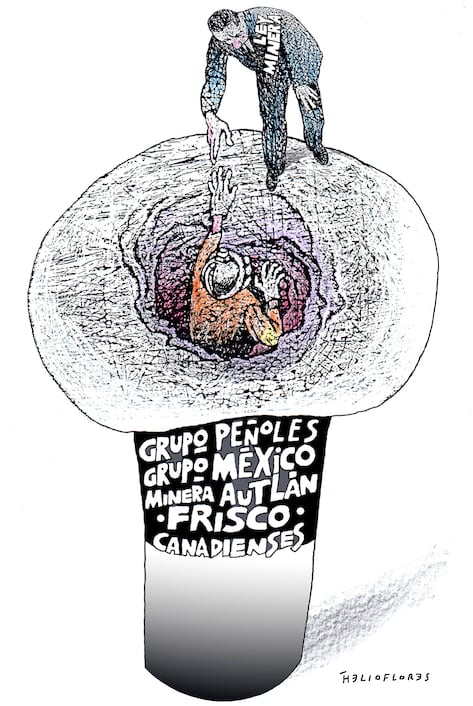 Cartón de HELIOFLORES