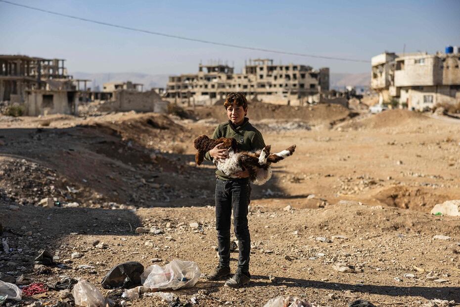 Un niño transporta una oveja en la ciudad de Arbin, en Ghouta Oriental, a las afueras de Damasco, la capital siria, el 15 de diciembre de 2024. Los rebeldes islamistas tomaron Damasco en una ofensiva relámpago el 8 de diciembre, derrocando al presidente Bashar al-Assad y poniendo fin a cinco décadas de gobierno Baath en Siria. FOTO: SAMEER AL-DOUMY. AFP