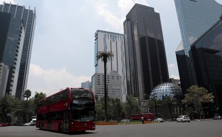 "Si ponen otra, que la cuiden", piden vendedores y transeúntes sobre palmera de Paseo de la Reforma