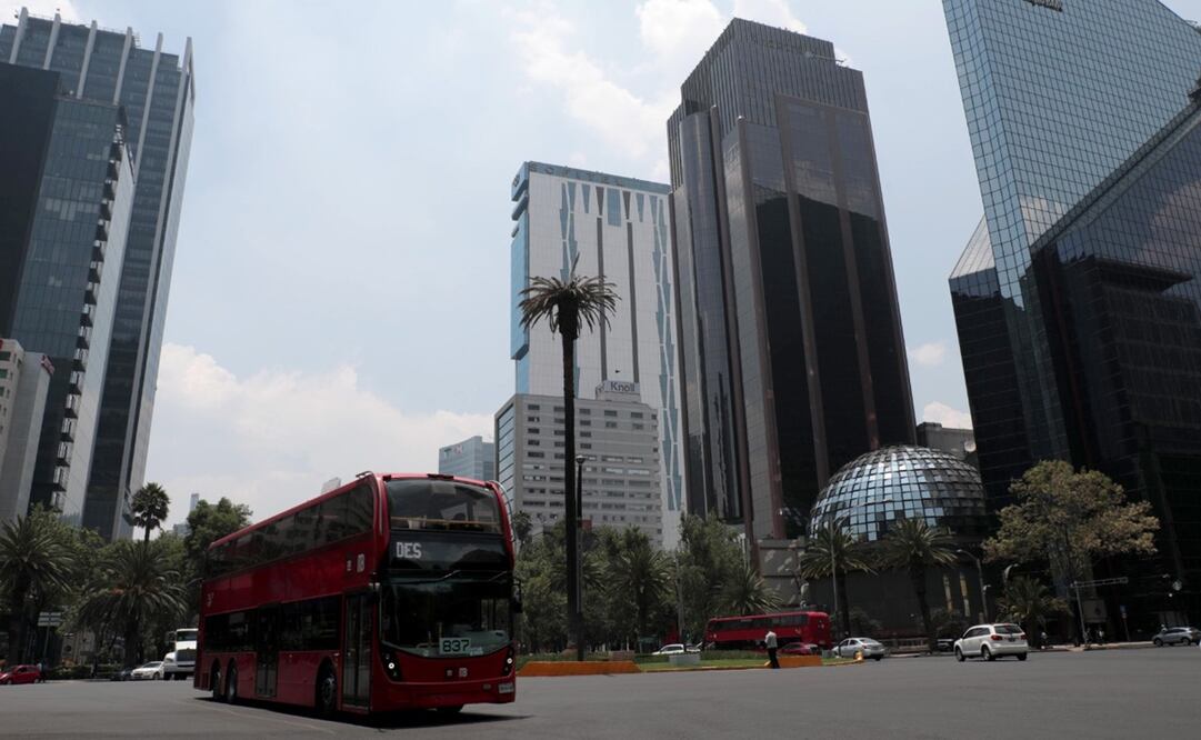 La Palmera, ubicada en el Paseo de la Reforma, será retirada después de 100 años de permanecer en La Gloriera de La Palma. Foto: Juan Boites / EL UNIVERSAL 