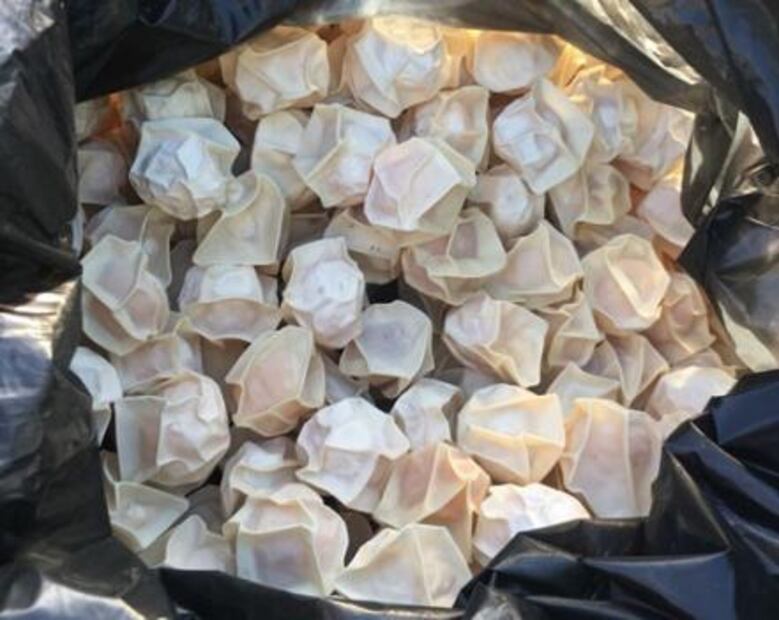 Vinculan a proceso a tres por posesión de 35 mil huevos de tortuga