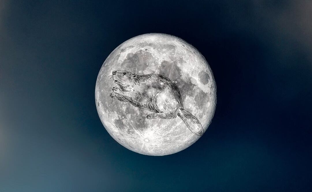 Un espectáculo visual para los observadores del cielo.
Foto: El Universal