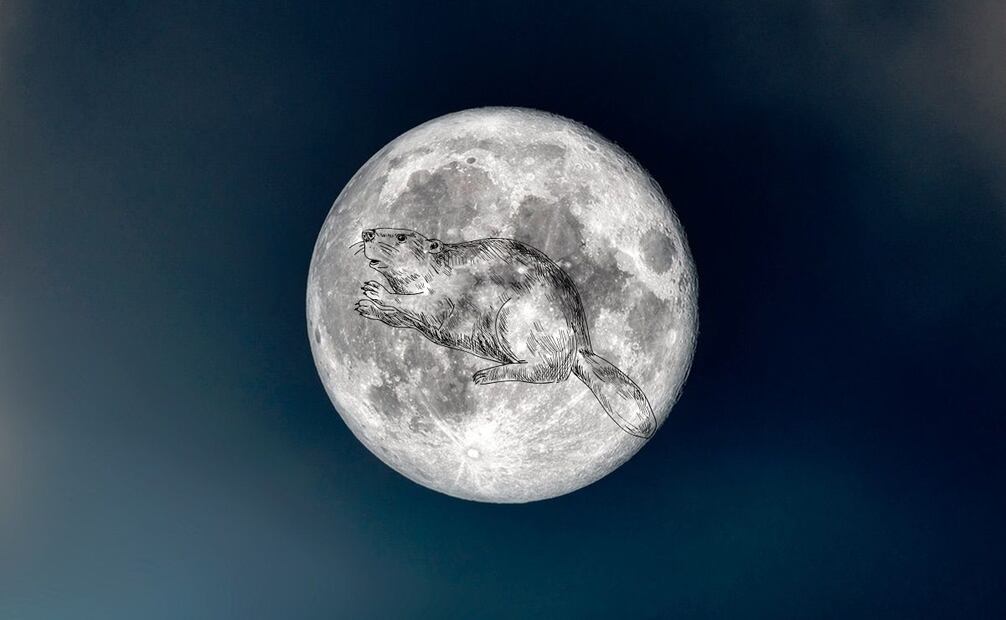 Un espectáculo visual para los observadores del cielo.
Foto: El Universal