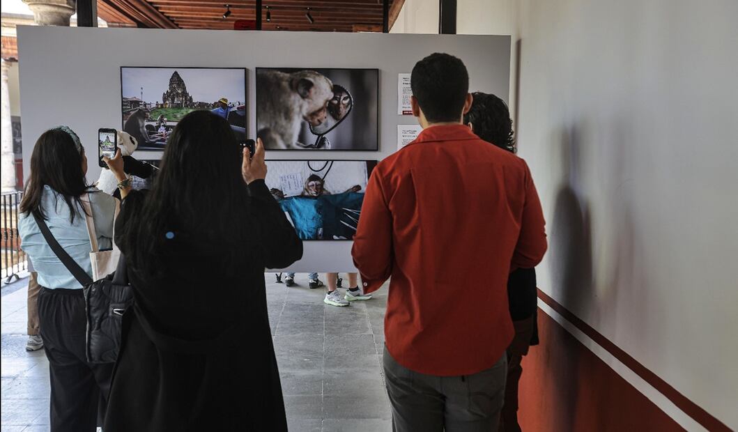 Imagen del World Press Photo (WPP) 2025 que se inauguró en el Museo Franz Mayer de la Ciudad de México, el 30 de julio de 2025. Foto: Gabriel Pano/EL UNIVERSAL