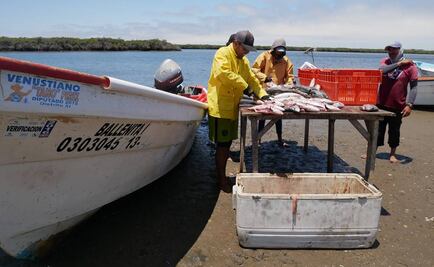 Capta noroeste 66% del subsidio a pesca en México