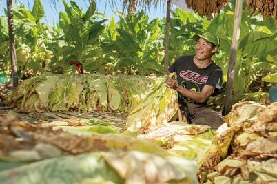 Philip Morris va por condiciones laborales dignas 