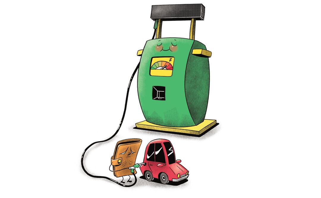 Ilustración: Ani Cortes