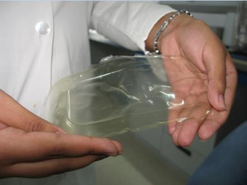 Estudiantes crean bolsa de basura comestible con restos de maíz