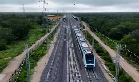 Tren Maya, un "horror ambiental"; cadena de TV alemana critica impacto con video reportaje