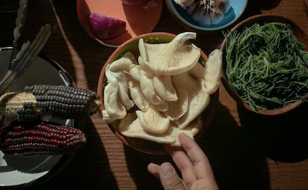 Pacheco Aguachiles: Una alternativa vegetal en La Lagunilla