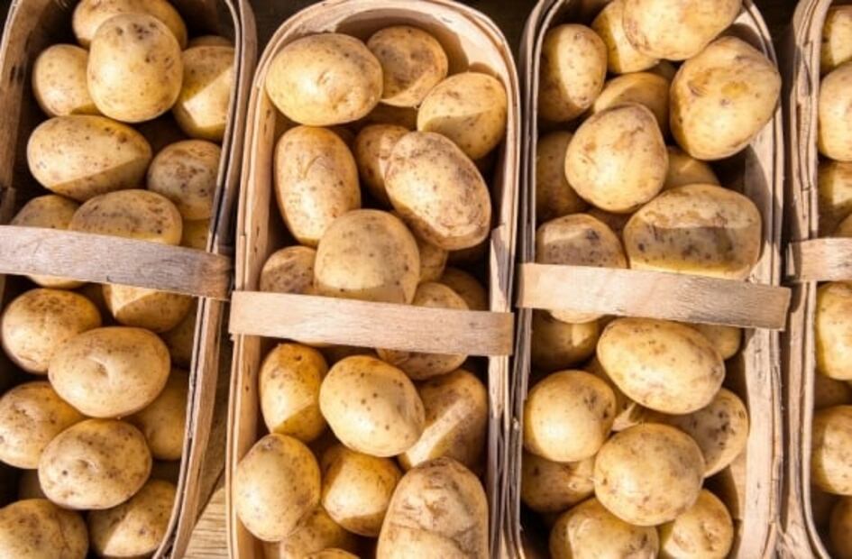 6 formas de cocinar papas con más sabor
