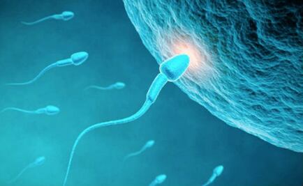 ¿Por qué el espermatozoide tiene cola?