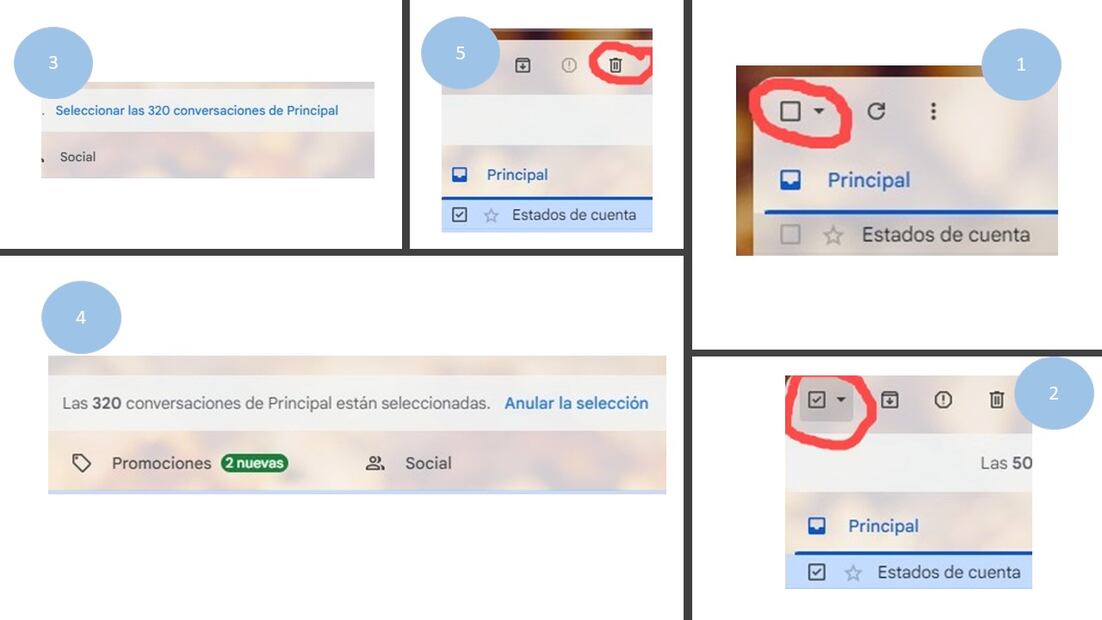 Foto: Captura de pantalla