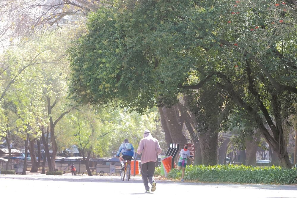 El Bosque de Chapultepec es el destino de uno de los proyectos prioritarios del gobierno de Andrés Manuel López Obrador, a través de la Secretaría de Cultura. Foto: FOTOS: BERENICE FREGOSO. EL UNIVERSAL