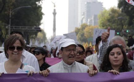 Father Solalinde leads rally in Mexico City over gasoline hike