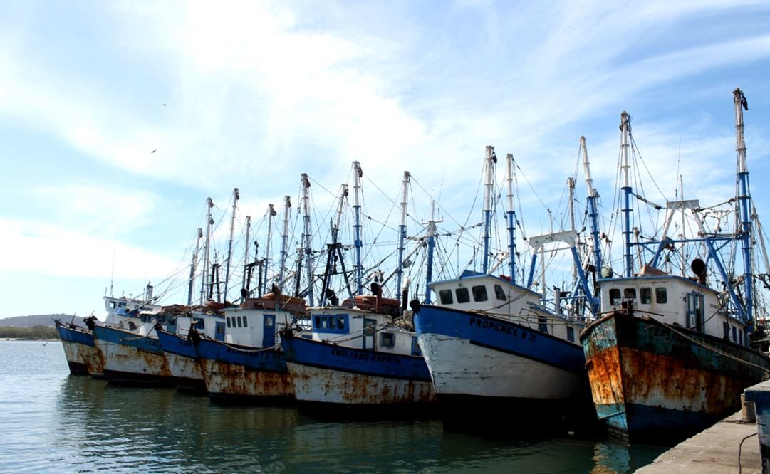 According to the specialists, “we largely depend on large maritime enterprises from all over the world, and on the services they provide, as well as the routes they establish.” - Photo: Yovanna Gaxiola/EL UNIVERSAL