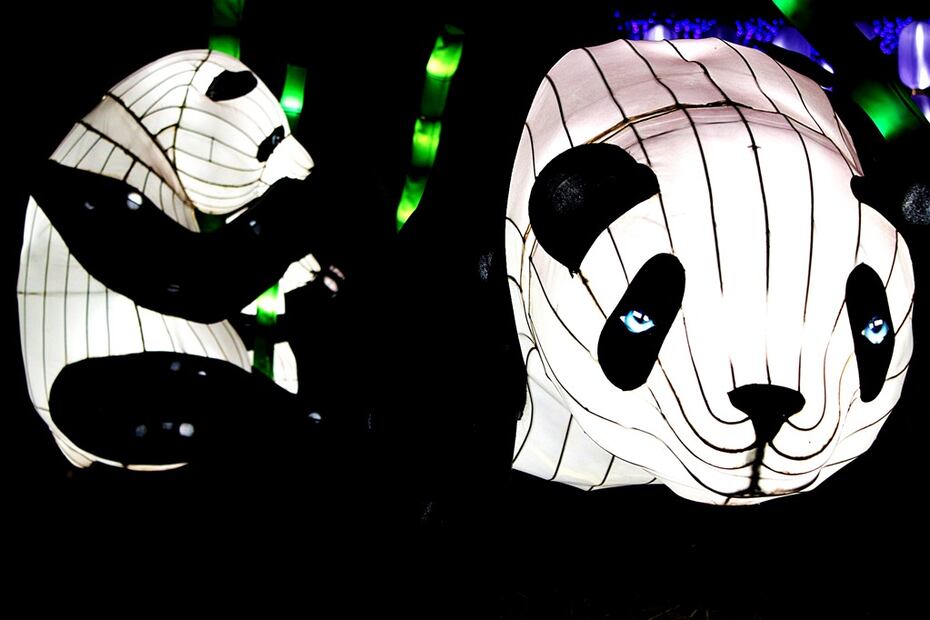 Foto: Winter Lantern Festival MX